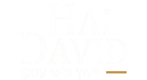 Hai David